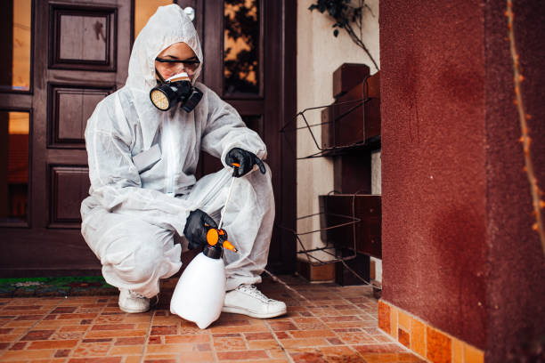 Reliable Cockroach Control contractor in Ammon, ID by Nex Pest Control